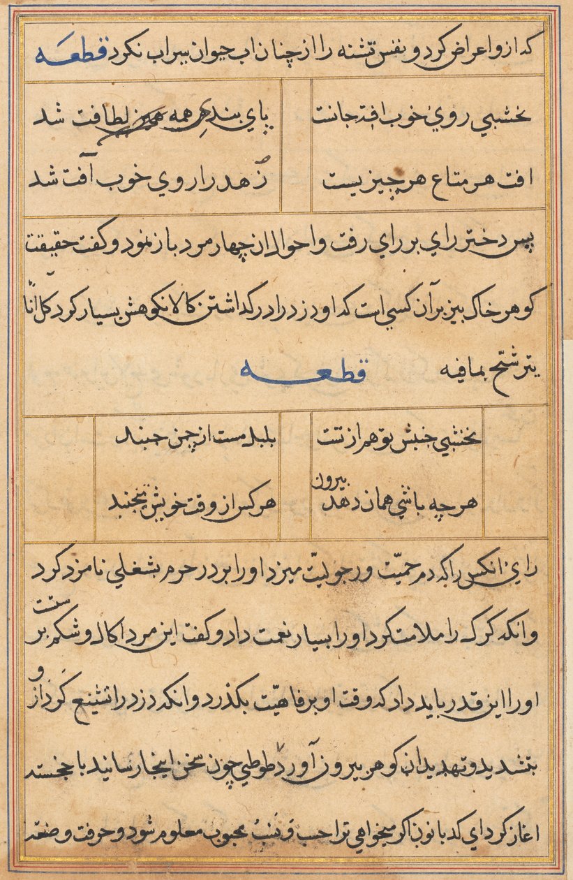 Seite aus Geschichten eines Papageis (Tuti-nama): Textseite von Unknown artist