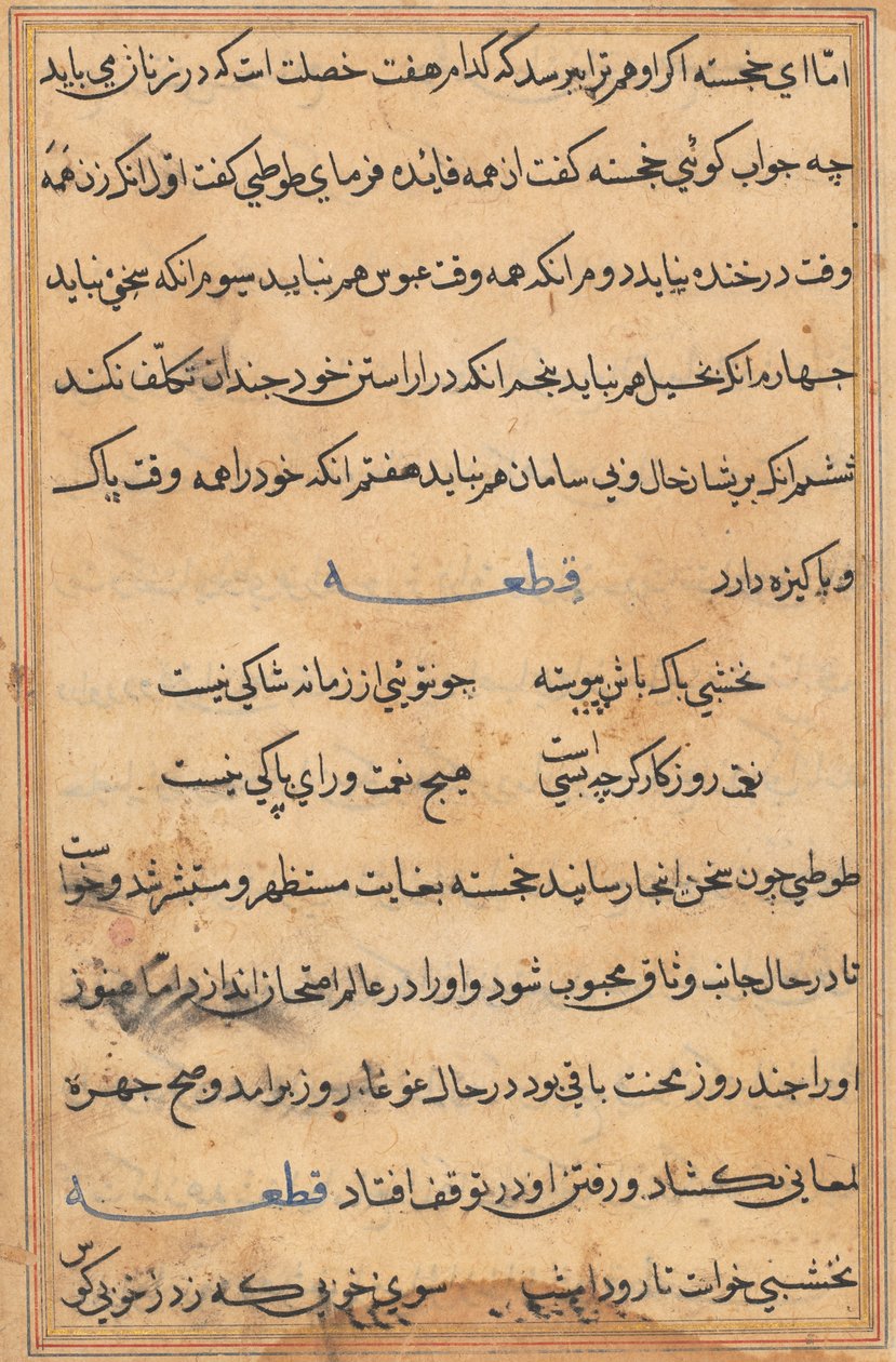 Seite aus Geschichten eines Papageis (Tuti-nama): Textseite von Unknown artist