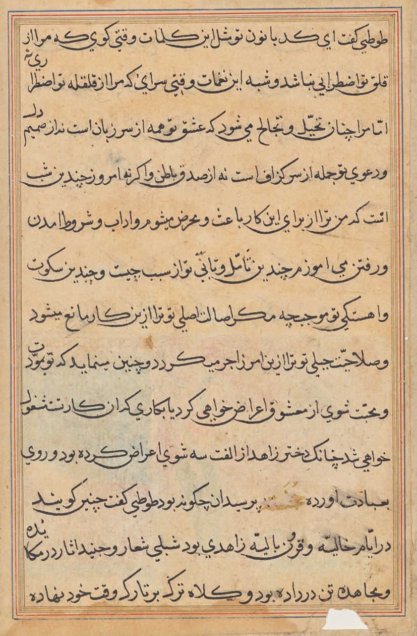 Seite aus Geschichten eines Papageis (Tuti-nama): Textseite von Unknown artist