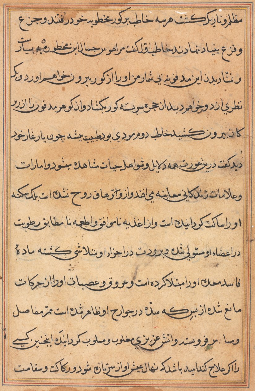 Seite aus Geschichten eines Papageis (Tuti-nama): Textseite von Unknown artist