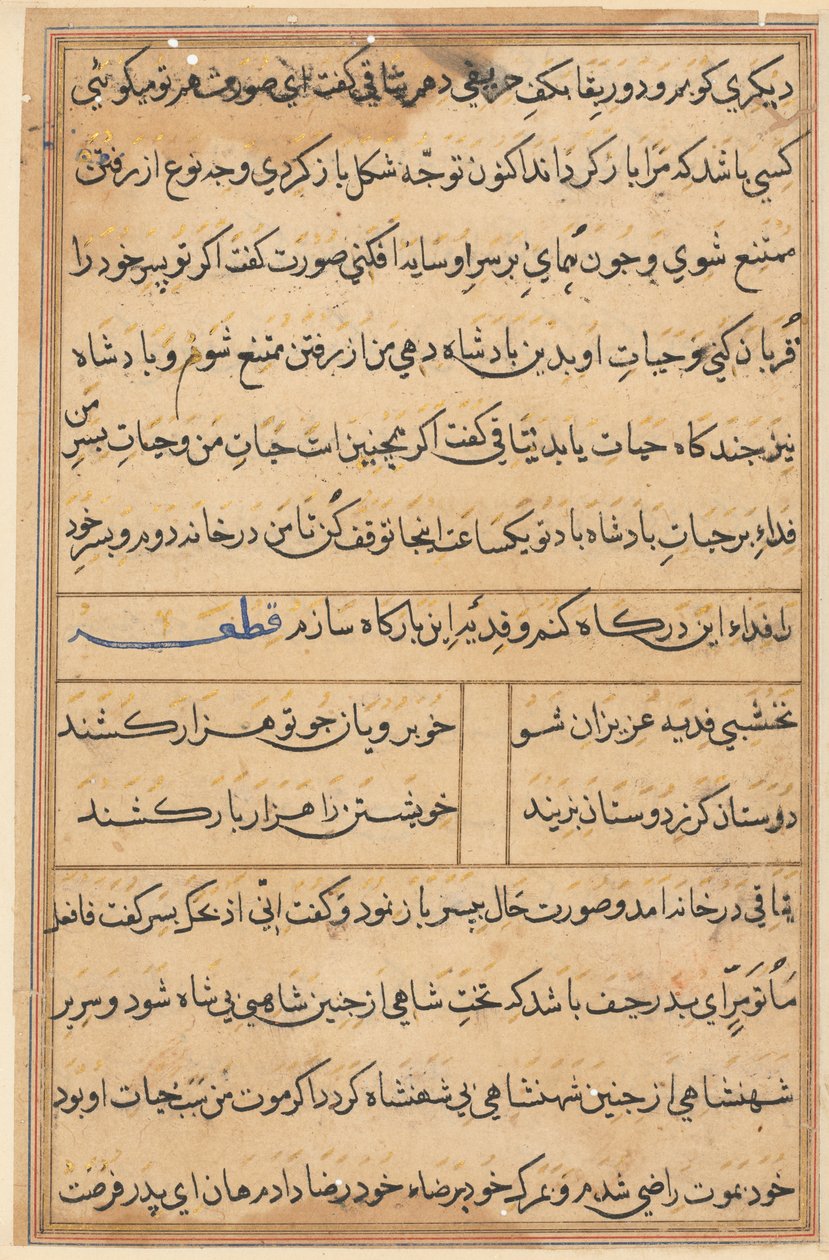 Seite aus Geschichten eines Papageis (Tuti-nama): Textseite von Unknown artist
