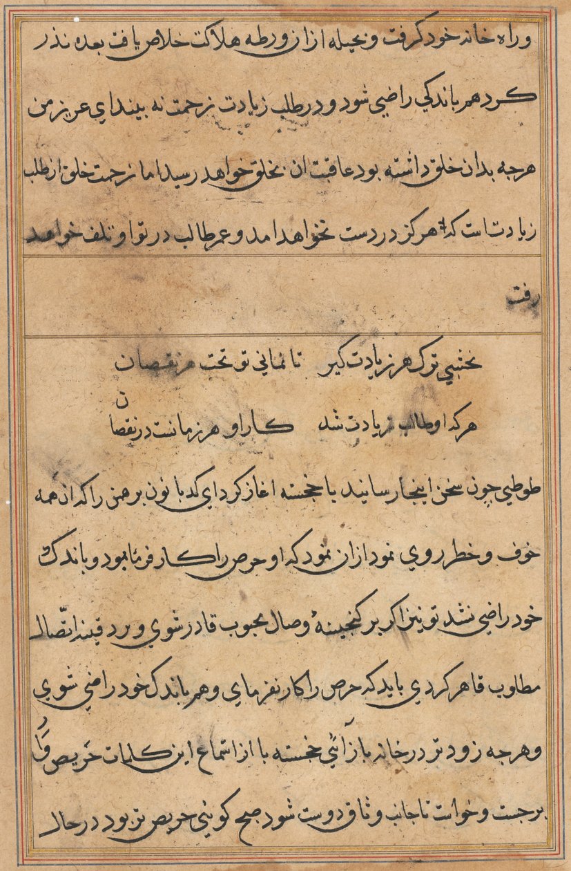 Seite aus Geschichten eines Papageis (Tuti-nama): Textseite von Unknown artist