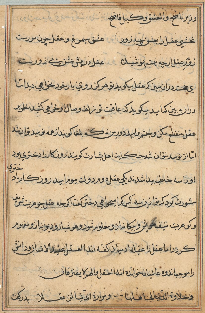 Seite aus Geschichten eines Papageis (Tuti-nama): Textseite von Unknown artist