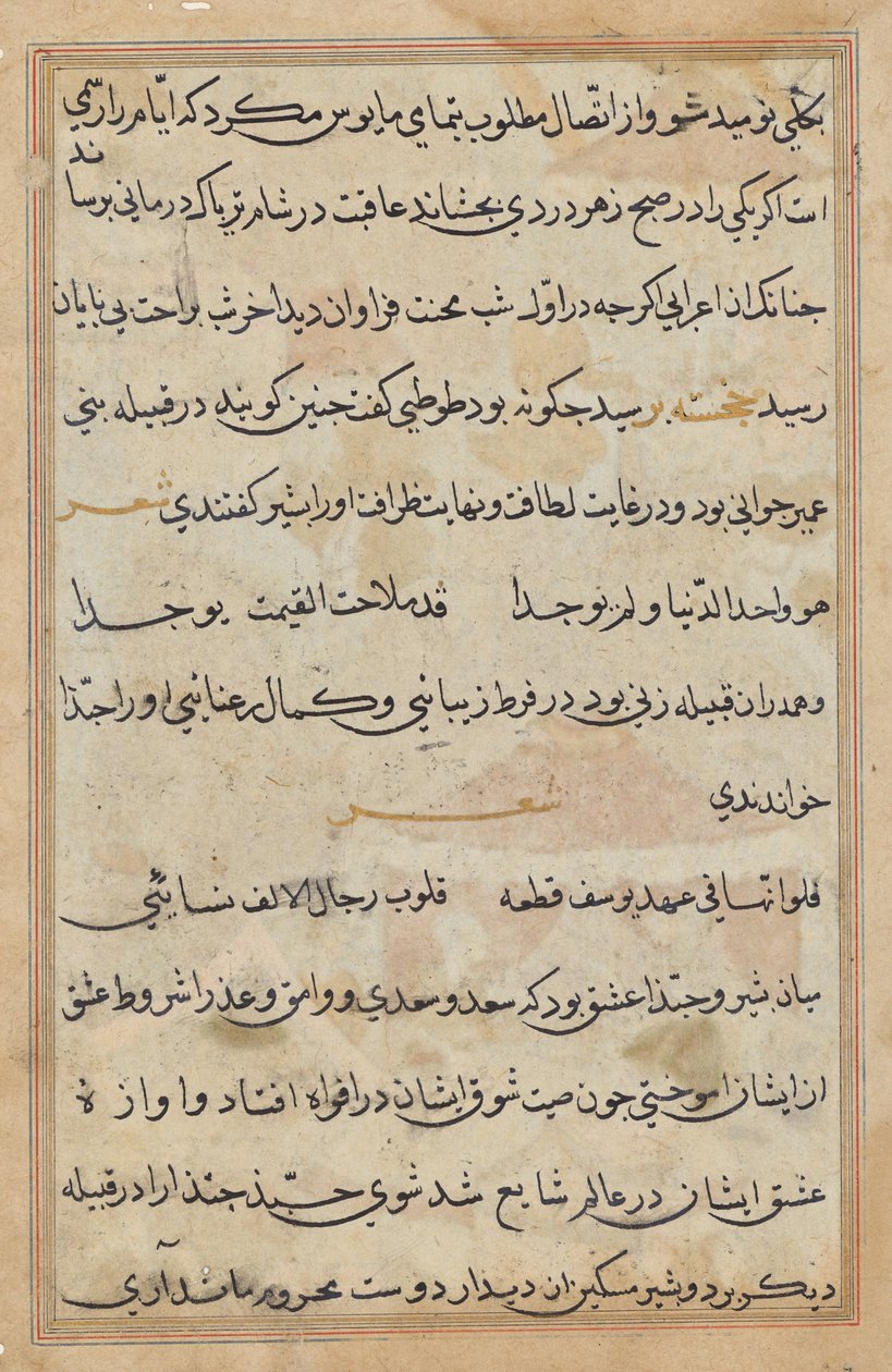 Seite aus Geschichten eines Papageis (Tuti-nama): Textseite von Unknown artist