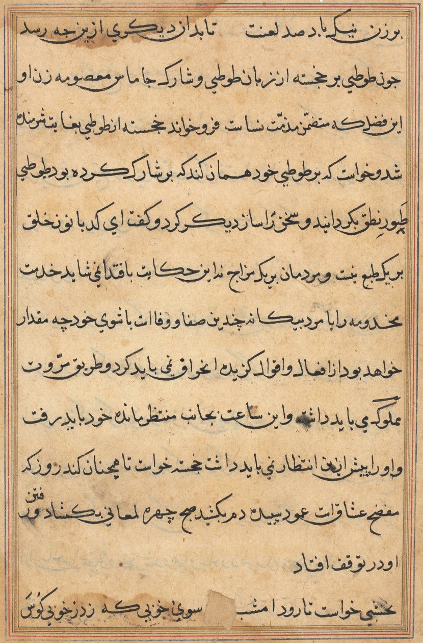 Seite aus Geschichten eines Papageis (Tuti-nama): Textseite von Unknown artist