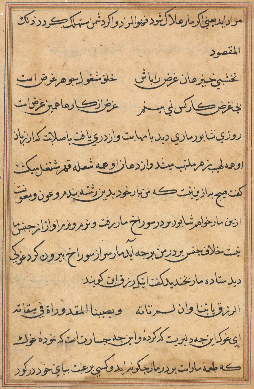 Seite aus Geschichten eines Papageis (Tuti-nama): Textseite von Unknown artist