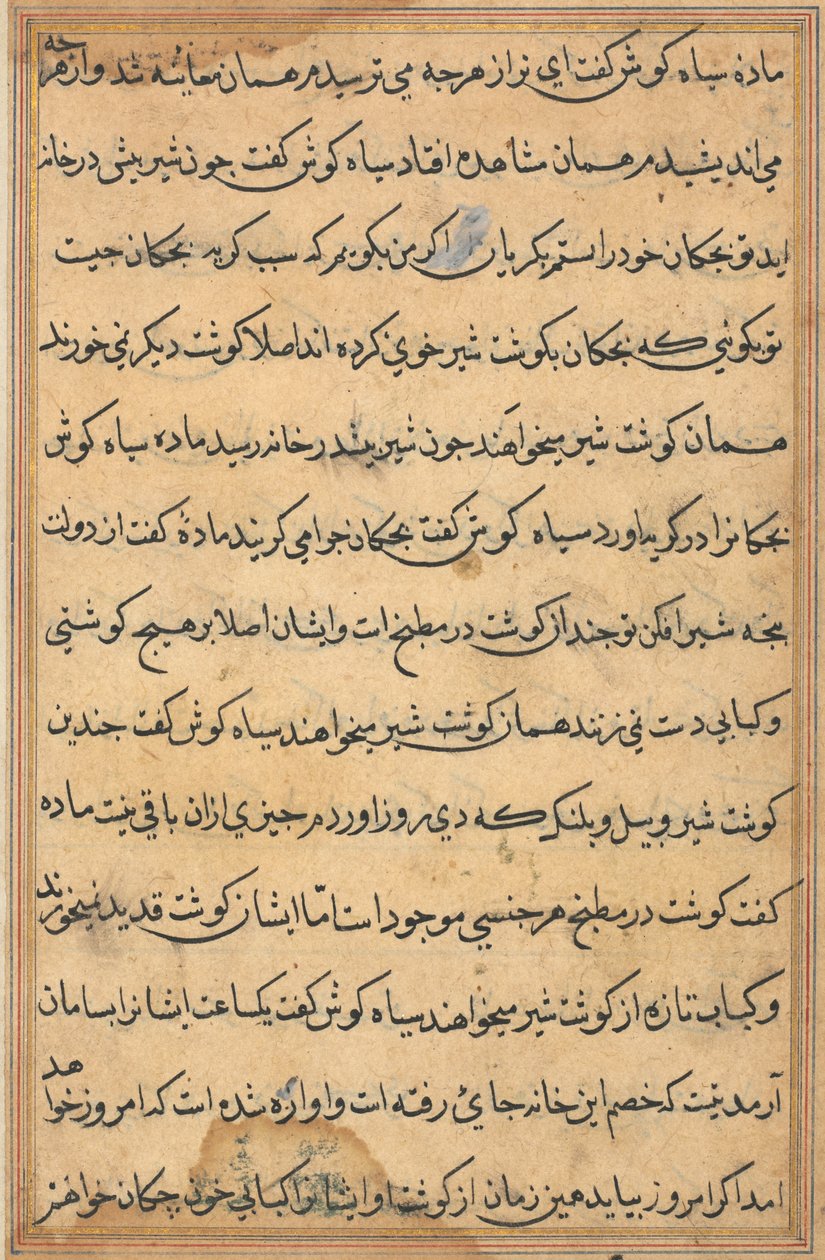 Seite aus Geschichten eines Papageis (Tuti-nama): Textseite von Unknown artist
