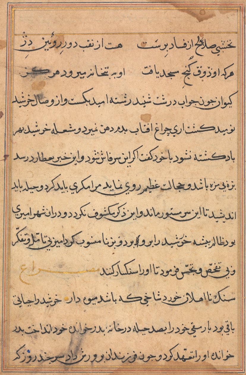 Seite aus Geschichten eines Papageis (Tuti-nama): Textseite von Unknown artist