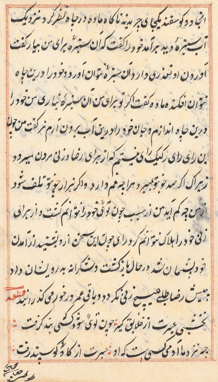 Seite aus Geschichten eines Papageis (Tuti-nama): Textseite von Unknown artist