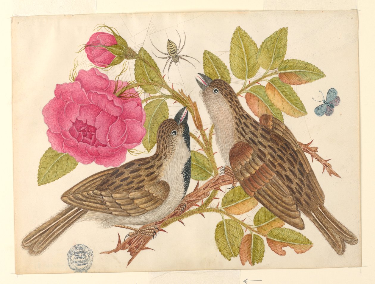 Paar braune Vögel auf Rosenstiel mit Schmetterling und Spinne von Unknown artist