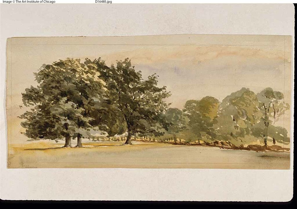 Panorama eines bewaldeten Hains (recto); Landschaft mit Wald rechts (verso) von Unknown artist
