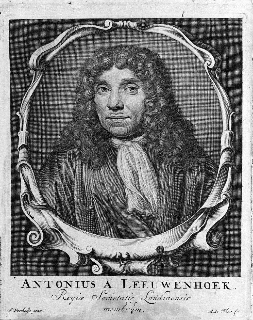 Porträt des niederländischen Händlers und Gelehrten Antoine van Leeuwenhoek (oder Leeuvenhoek Leeuwenhoeck) (oder Antoni oder Anthonie) (1632-1723). Gravur aus „Investigatio Arcanorum“ 1722 von Unknown artist
