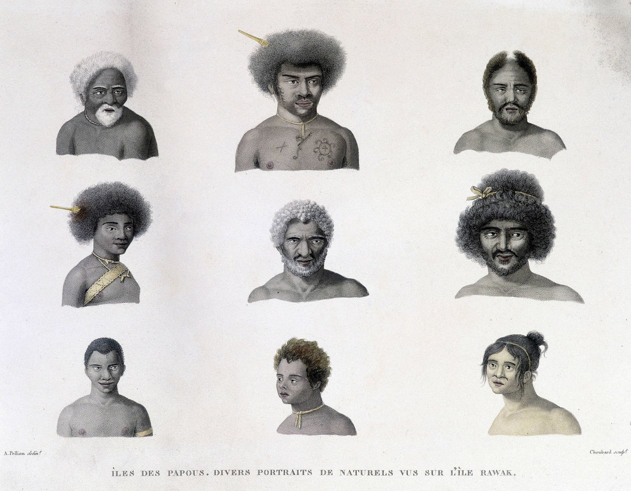 Porträts der Papua von der Insel Rawak. von Unknown artist