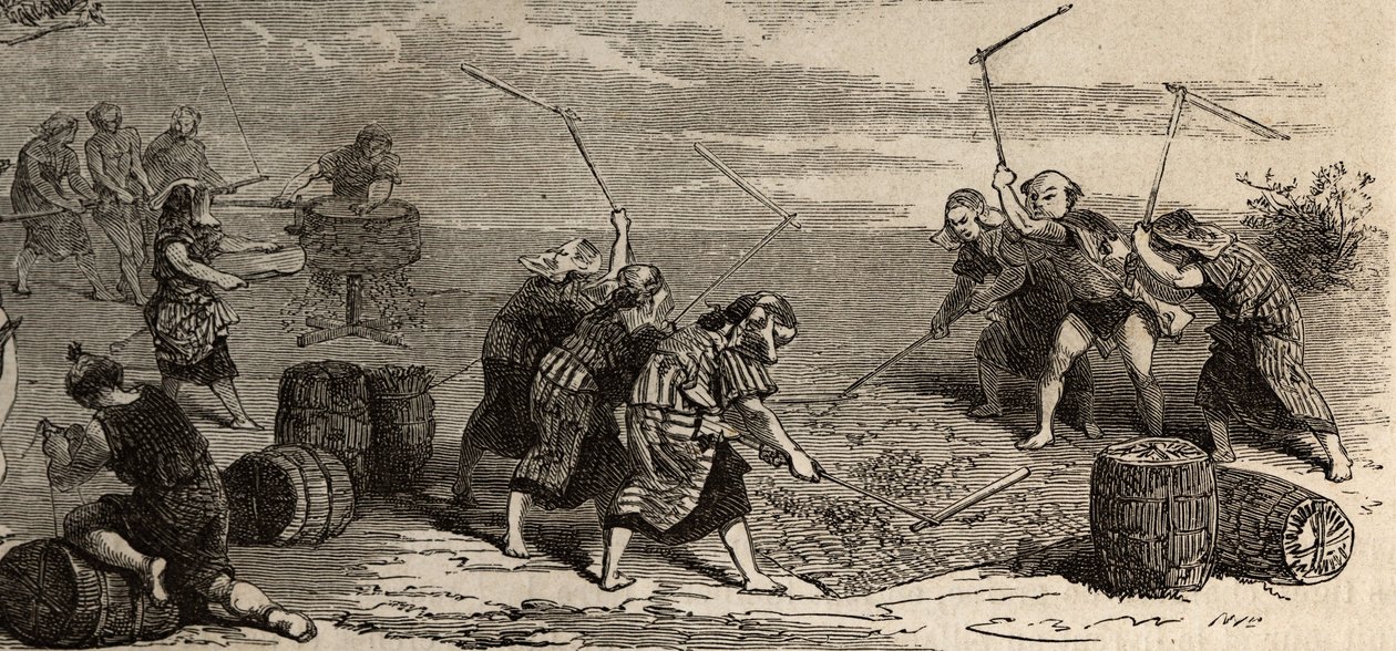 Reisanbau: letzter Schritt, mit Hilfe der Blume und Mühle werden die Reiskörner von ihrem Stiel und ihrer Schale getrennt und dann sorgfältig in geflochtenen Strohkisten gelagert. Gravur zur Illustration der Reise nach Japan 1863-1864 von Aime Humbert, Min von Unknown artist