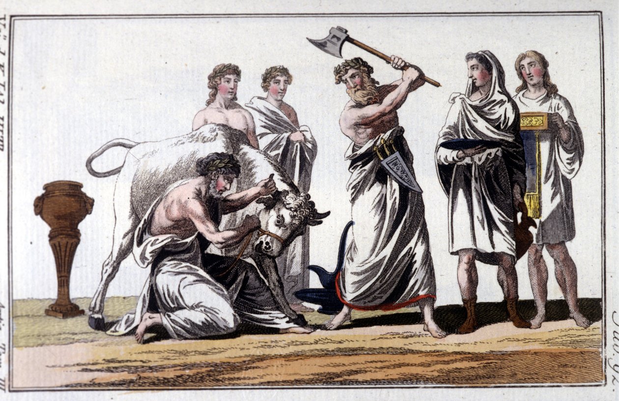 Opferung eines Stiers bei den Kelten. Gravur des 19. Jahrhunderts. von Unknown artist