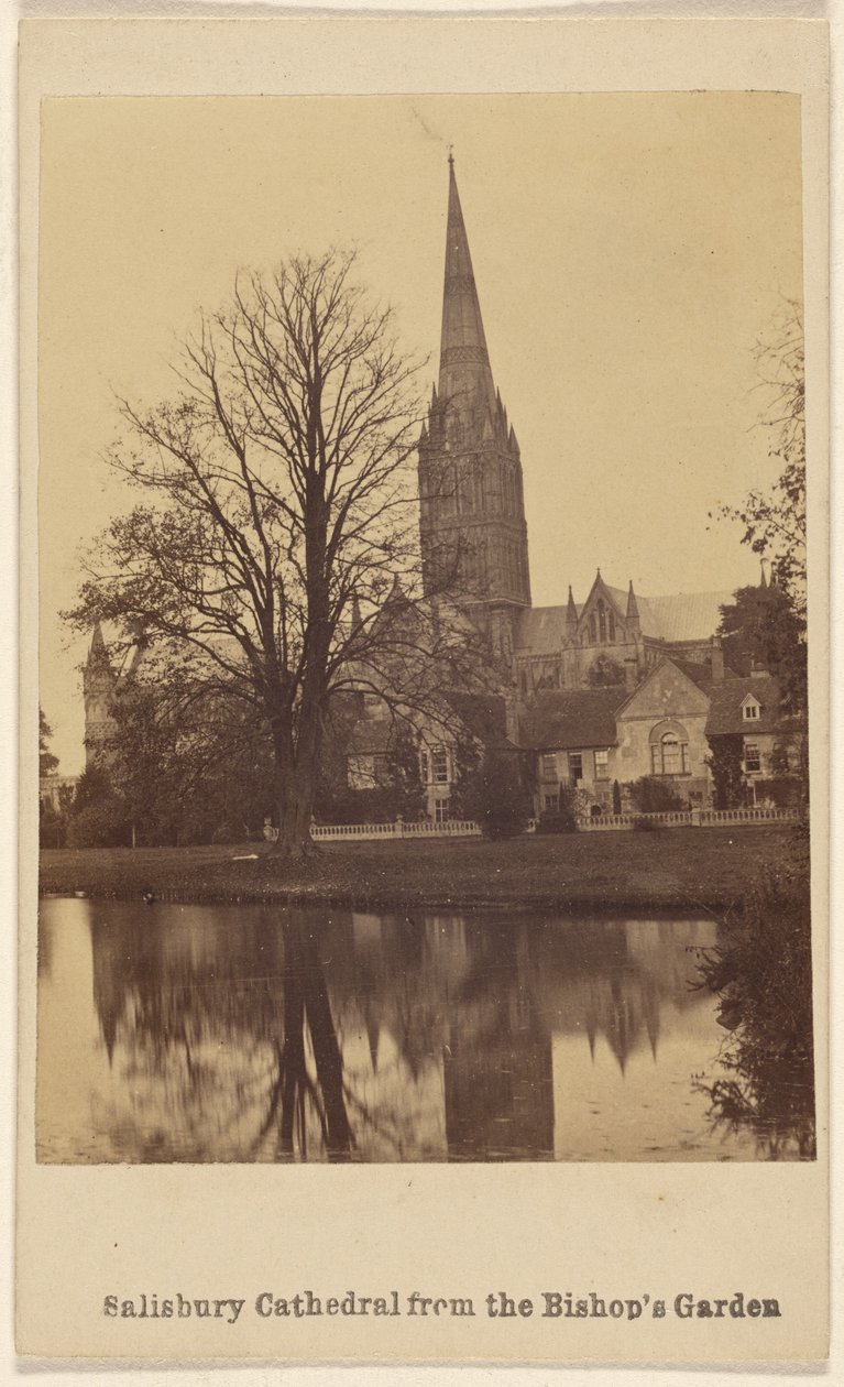Kathedrale von Salisbury vom Garten des Bischofs von Unknown artist