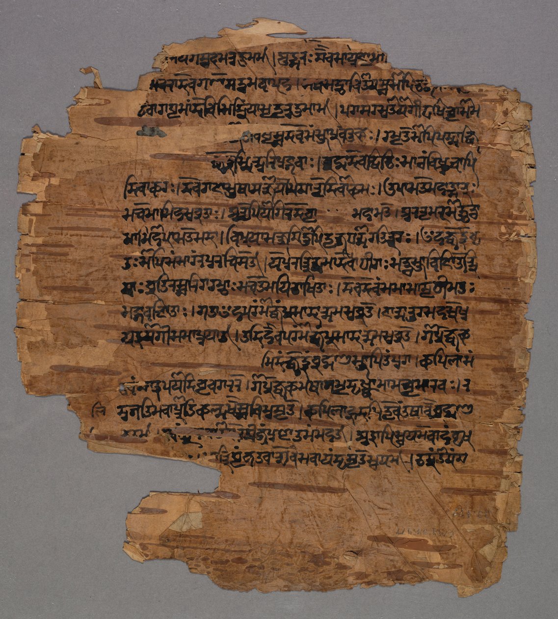Sarada-Schrift (?) von Unknown artist