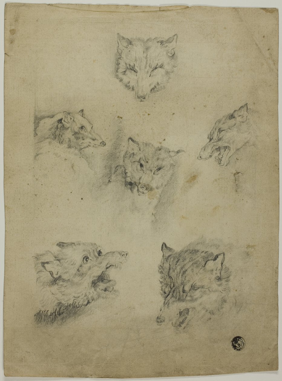 Sechs Skizzen von Wolfsköpfen von Unknown artist
