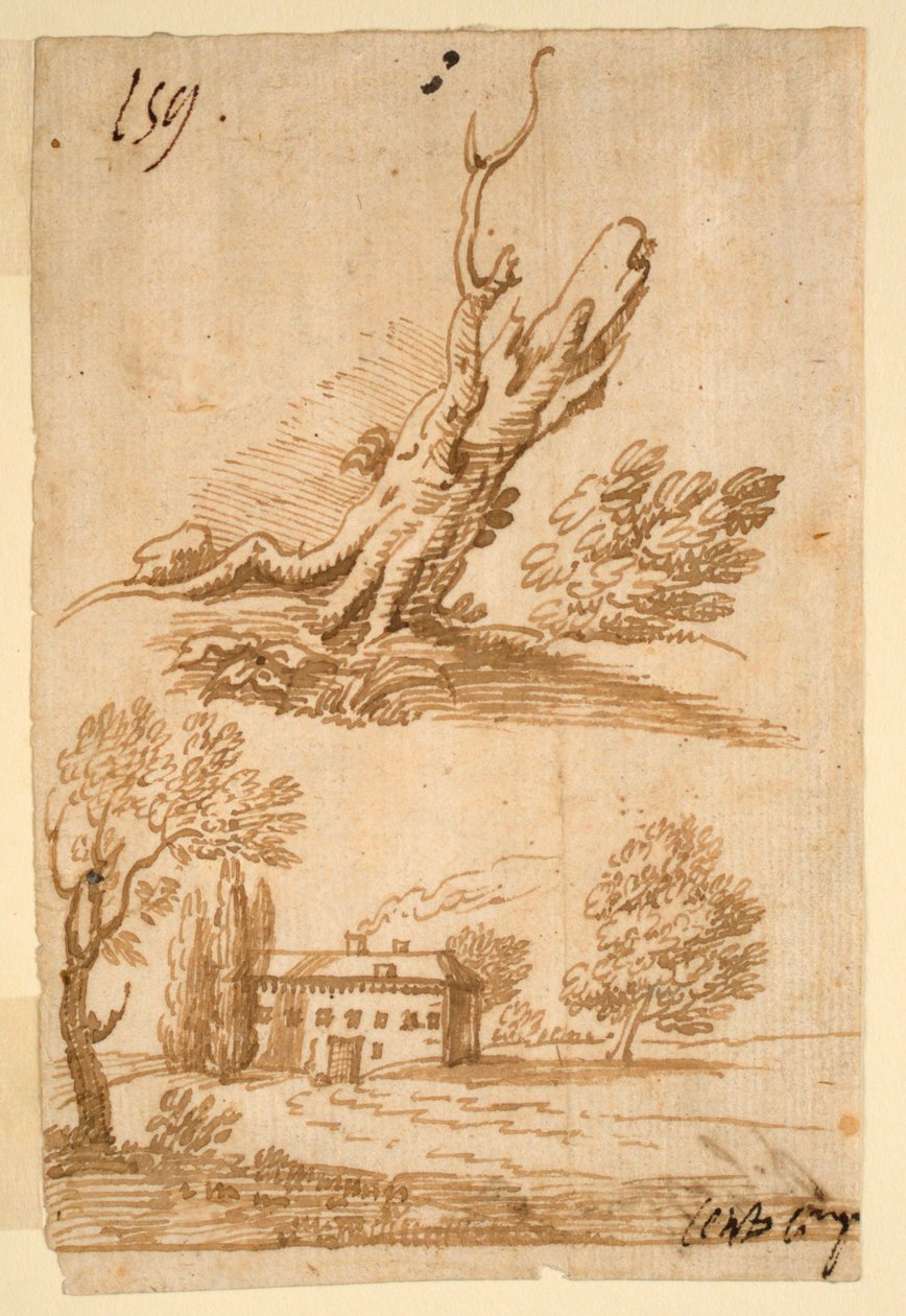 Skizzen einer Villa und eines Baumes von Unknown artist