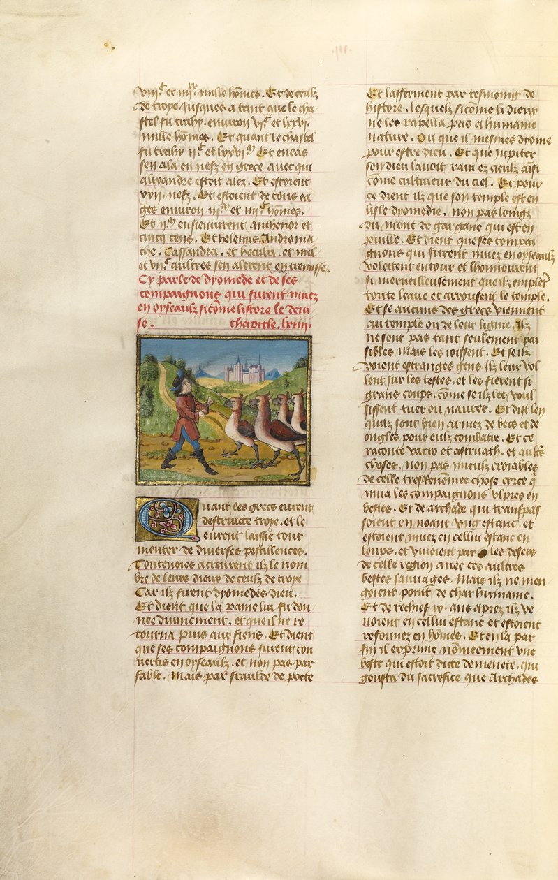 Die Gefährten des Diomedes in Gänse verwandelt von Unknown artist
