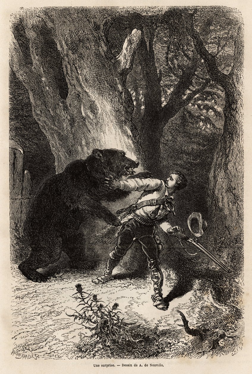 Der Autor, während eines Ausflugs um Jacksonville, wird im Wald von einem zahmen Bären und einer Kette überrascht. Gravur zur Illustration der Geschichte Vier Monate in Florida, von Achille Pousselgue, veröffentlicht in „Le tour du monde“ 1870-1871, heraus von Unknown artist