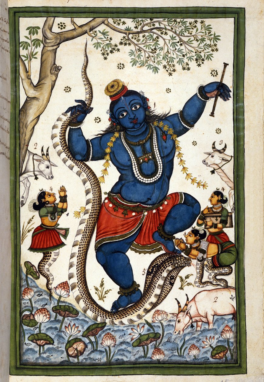 Die Gottheit der brahmanischen Triade Vishnu. Seite aus dem Manuskript (ms. 8300) "Geschichte von Mogol" von Stefano Nivibus Cardeira. 18. Jahrhundert. Biblioteca Marciana, Venedig von Unknown artist