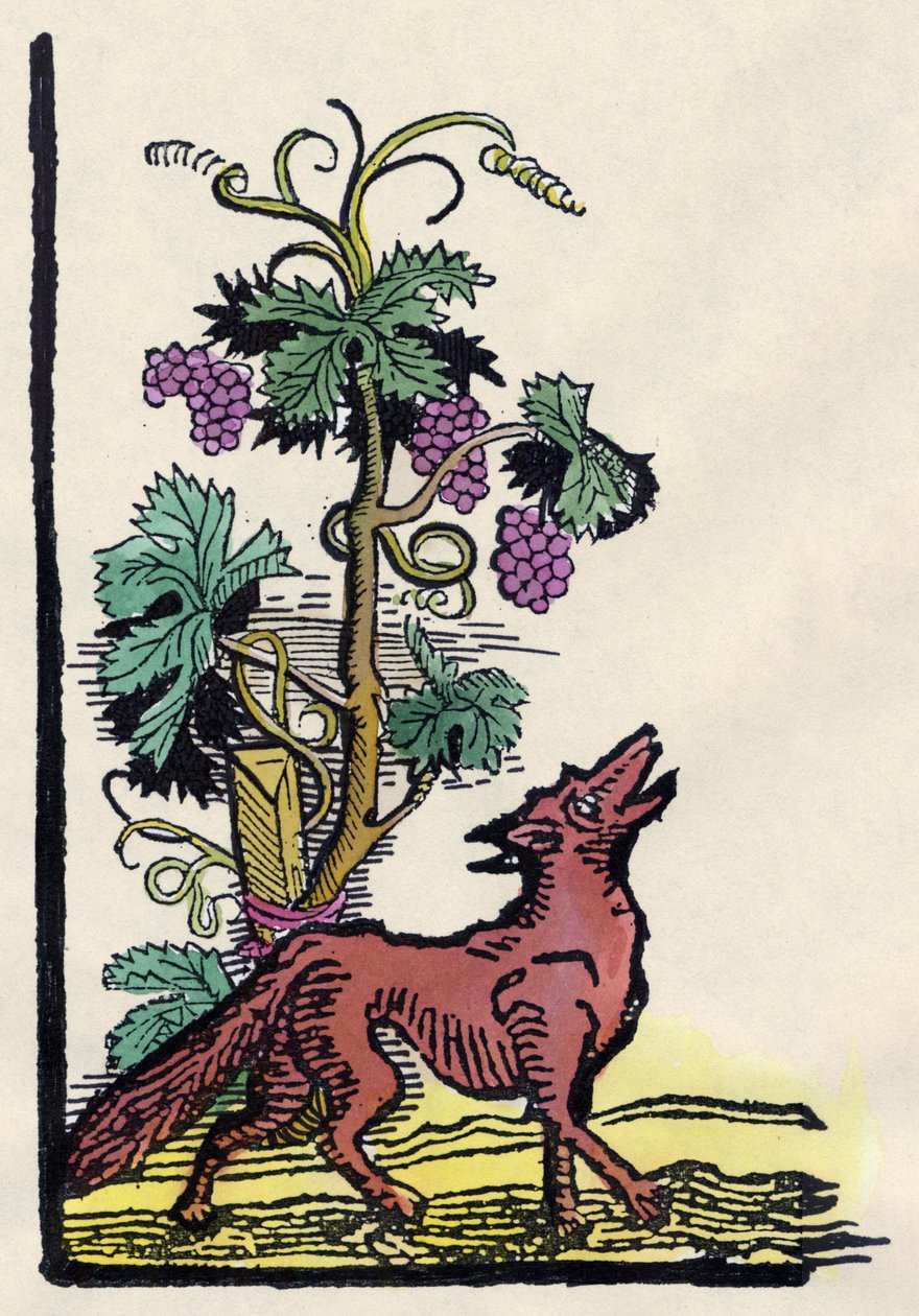 Der Fuchs und die Trauben. Fabel von Aesop (18. Jahrhundert, Gravur) von Unknown artist