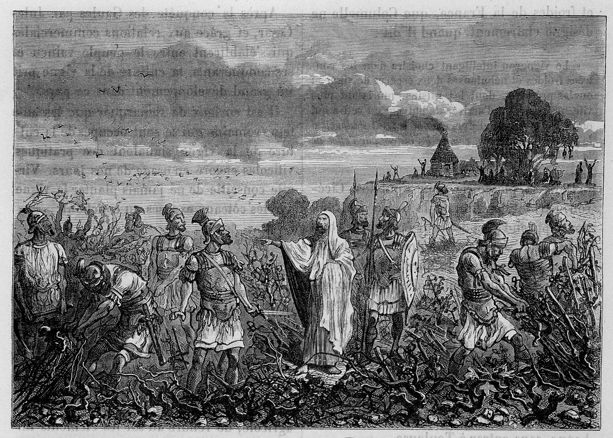 Die entwurzelten Reben in Gallien, auf Befehl von Kaiser Domitian - in Die Wunder der Industrie von Louis Figuier, Paris von Unknown artist