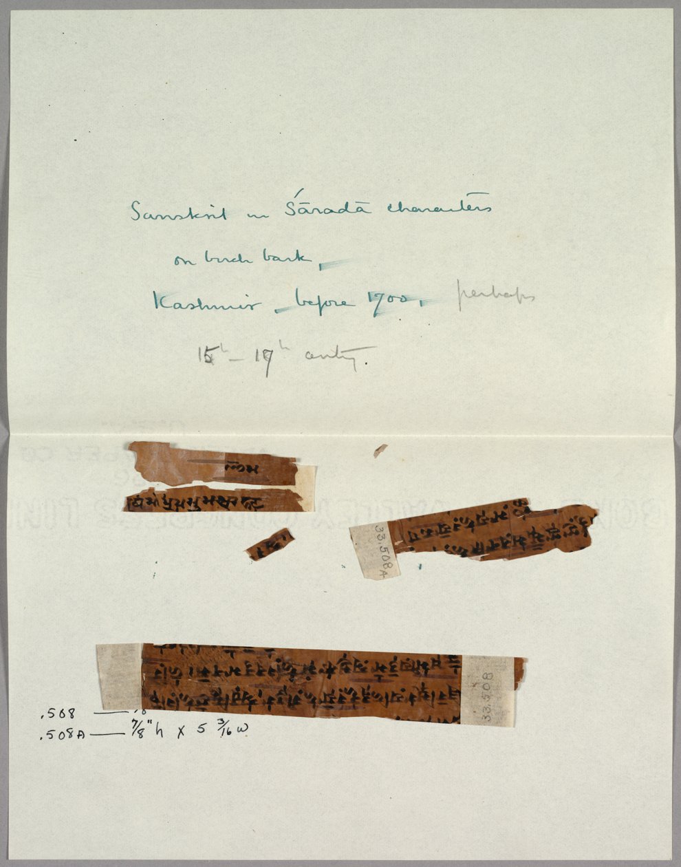 Zwei Fragmente von Rinde mit Sanskrit von Unknown artist