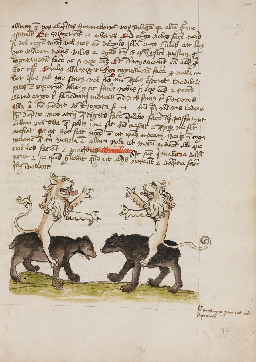 Zwei Löwen sitzen auf den Rücken von zwei Bären von Unknown artist