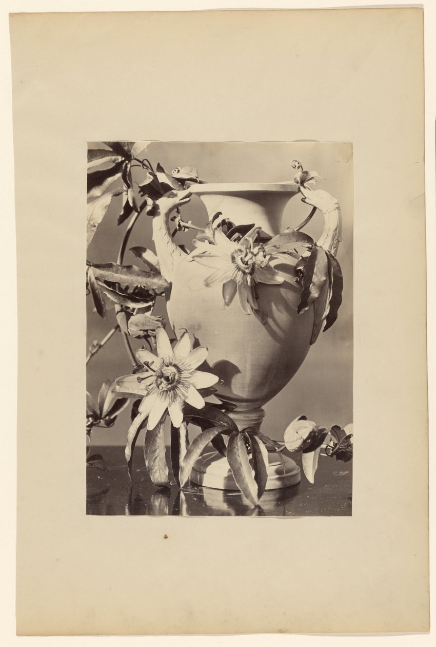 Vase mit Passionsblumen von Unknown artist
