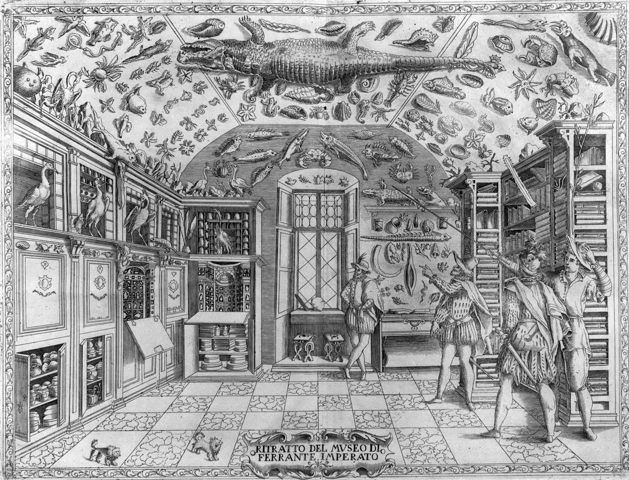 Ansicht des Museums (Kabinetts) der Kuriositäten (enzyklopädisches Museum) des Apothekers Ferrante Imperato (1550-1631). Stich von 1678. Museum des neapolitanischen Apothekers Ferrante Imperato von Unknown artist