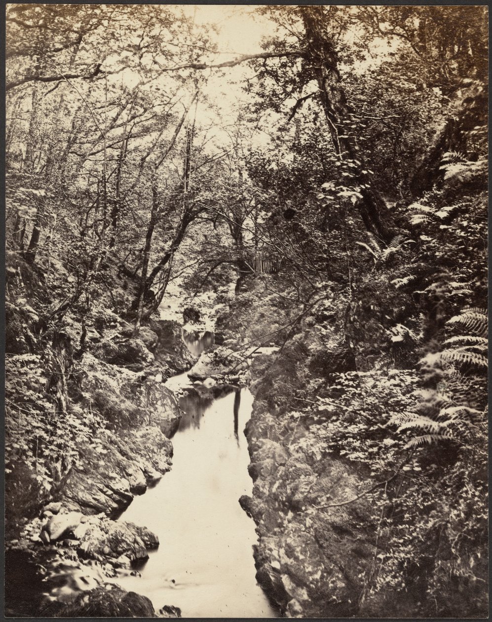 Waldlandschaft mit Bach von Unknown artist
