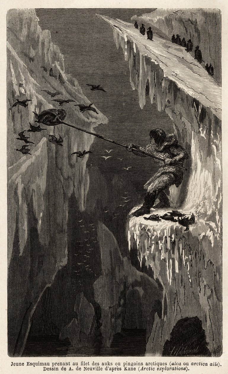 Junger Eskimo, der arktische Pinguine fängt. Illustration der Reise zum freien Meer des Arktischen Pols, von Dr. Hayes, Chirurg der US-Marine, 1860-1862, veröffentlicht in "Le tour du monde, nouveau journal des voyages" von Unknown artist