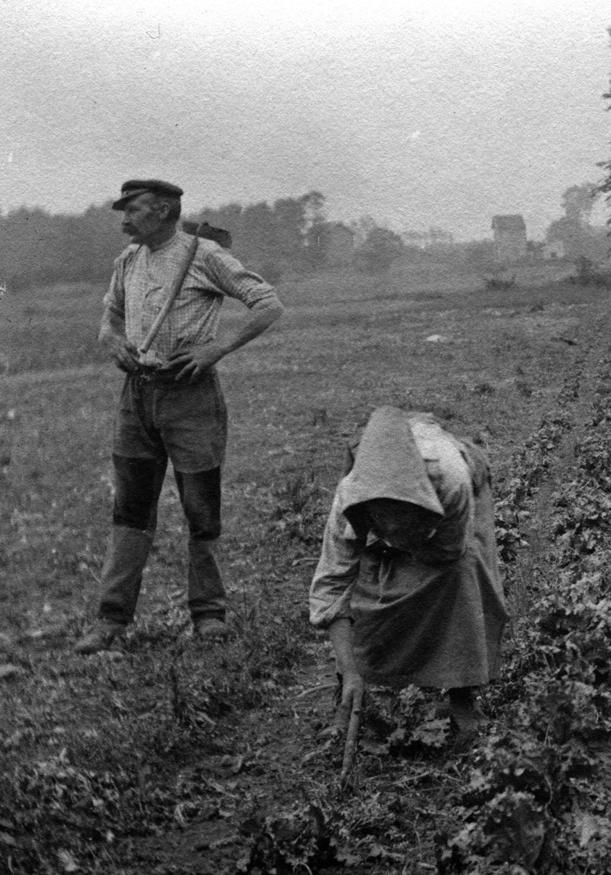 Französische Bauern bei der Feldarbeit, Somme 1921 von Unknown photographer