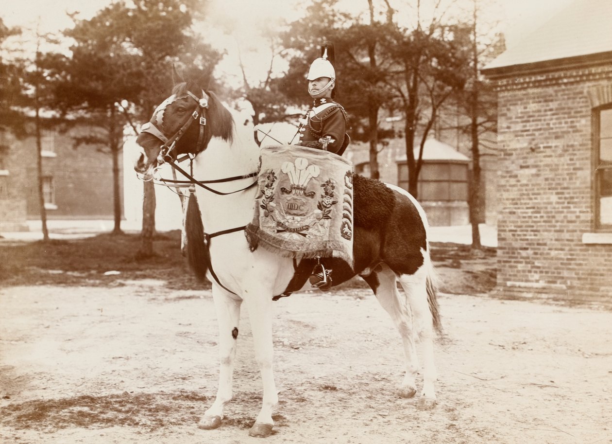 ?Trommelpferd, 3. Dragonergarde des Prinzen von Wales?, ca. 1895 von Unknown photographer