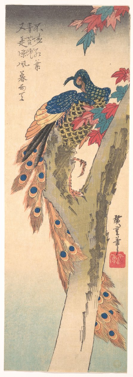 Ein Pfau auf einem Ahornbaum von Utagawa Hiroshige