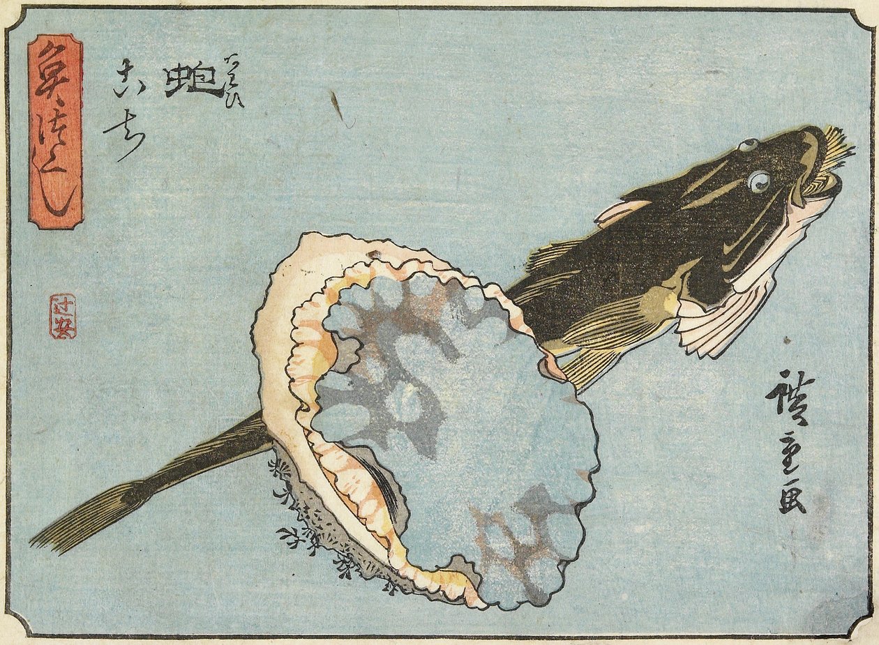 Abalone und Flathead, 1830-1844 von Utagawa Hiroshige