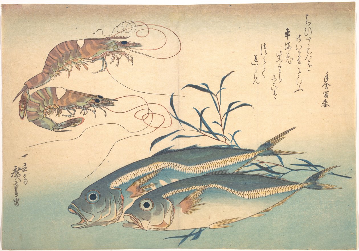 Aji-Fisch und Kuruma-Garnele, aus der Serie Uozukushi (Jede Fischart) von Utagawa Hiroshige