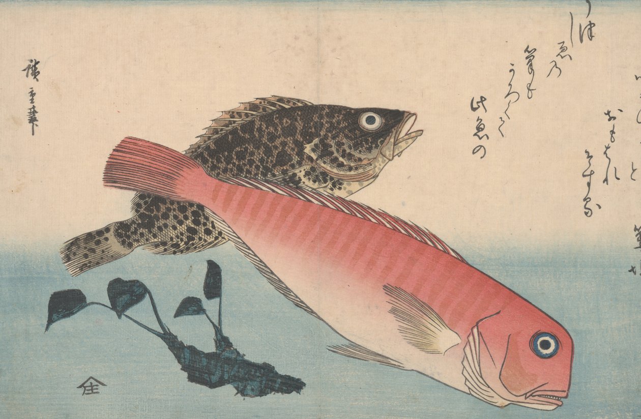 Amadai, Mebaru und Wasabi-Wurzel von Utagawa Hiroshige