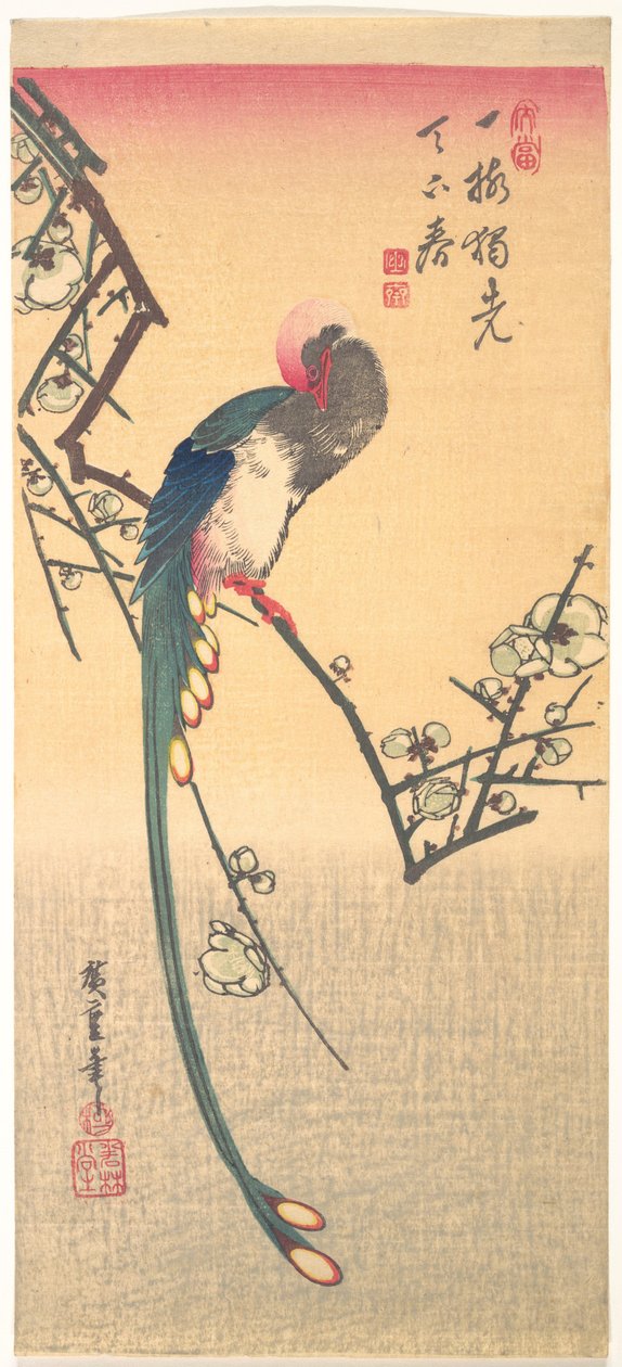 Vogel auf einem Pflaumenzweig von Utagawa Hiroshige
