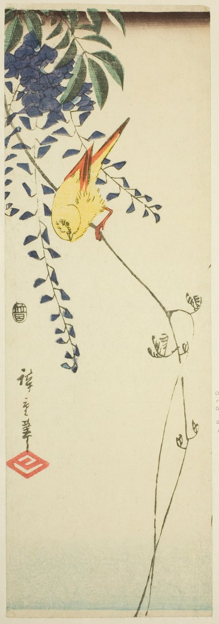 Kanarienvogel und Glyzinie von Utagawa Hiroshige