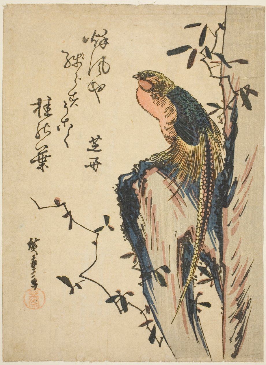 Goldfasan von Utagawa Hiroshige