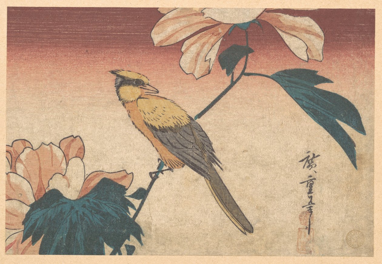 Hibiscus Mutabilis und Jay von Utagawa Hiroshige