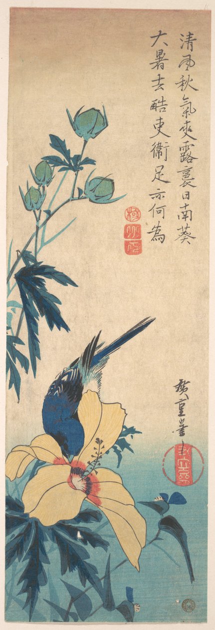 Hibiskus und Blauvogel von Utagawa Hiroshige