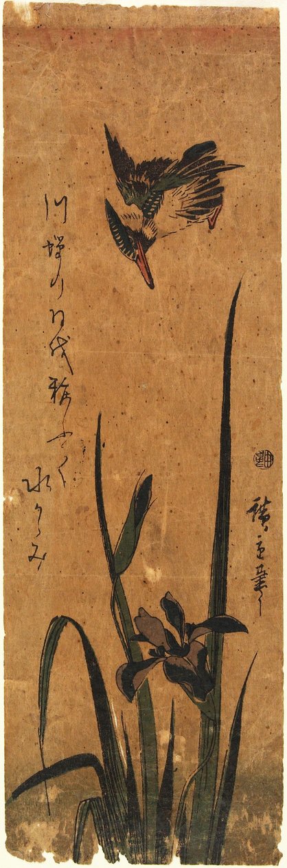 Eisvogel und Iris von Utagawa Hiroshige