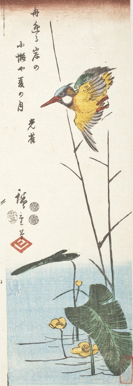 Eisvogel und Schilf von Utagawa Hiroshige