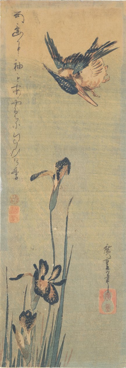 Eisvogel fliegt über eine Iris von Utagawa Hiroshige
