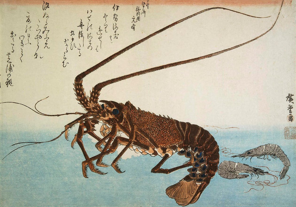 Hummer und Garnelen, 1832-1834 von Utagawa Hiroshige