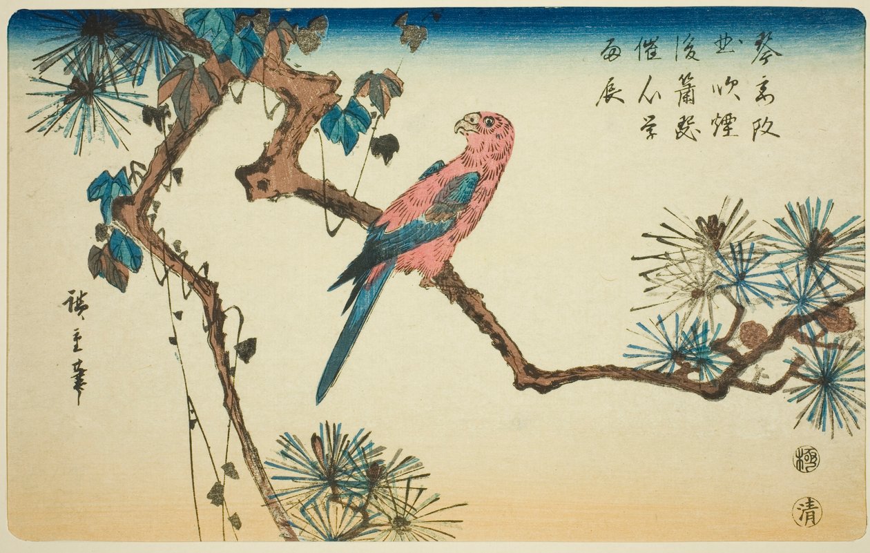 Ara auf Kieferzweig von Utagawa Hiroshige